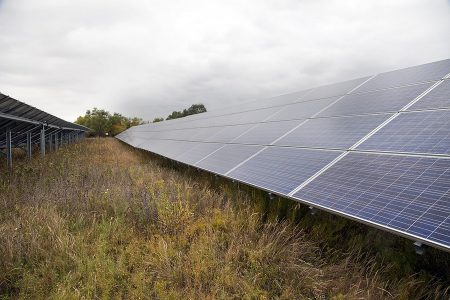 Connexus Energy Pollinator Friendly Solar Garden