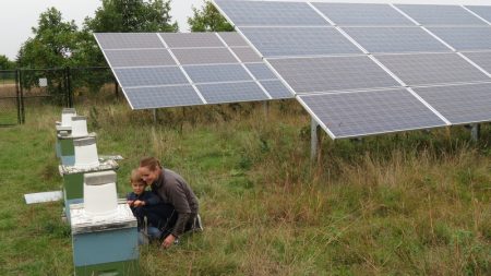 Co-op mother & son investigate solar honey